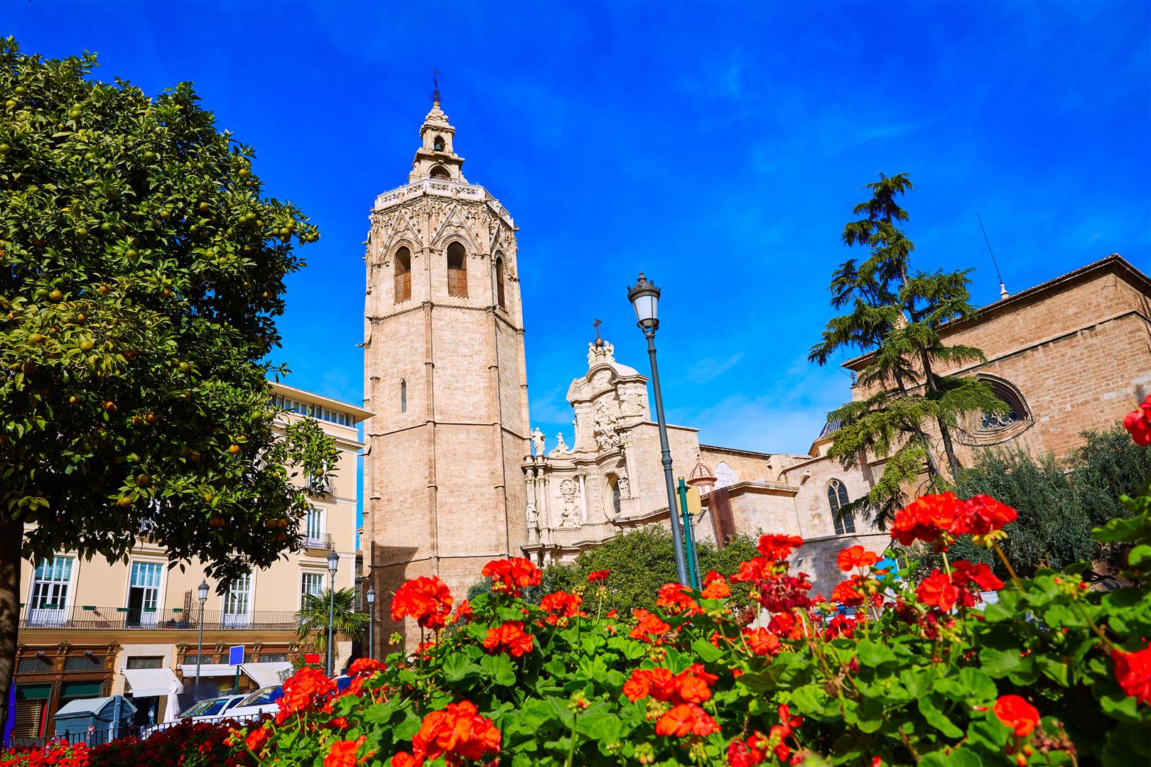 Shutter Stock