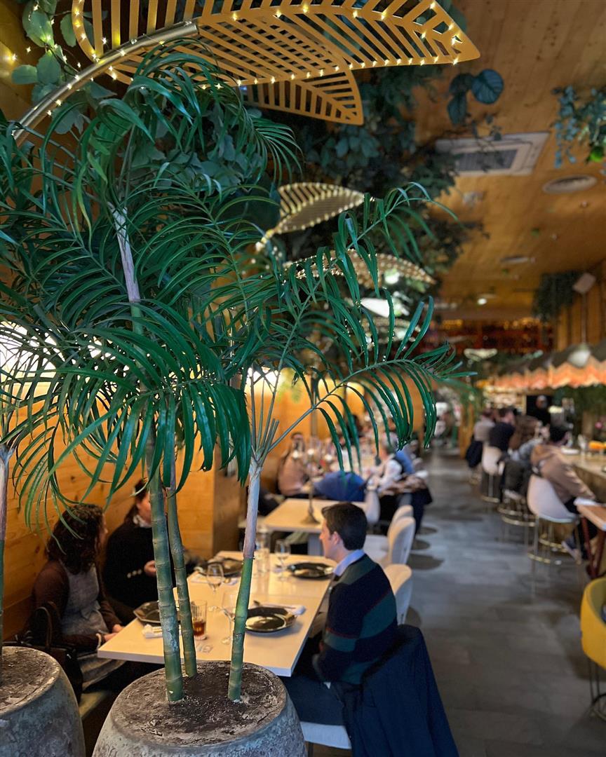 Restaurante Vuelve Carolina
