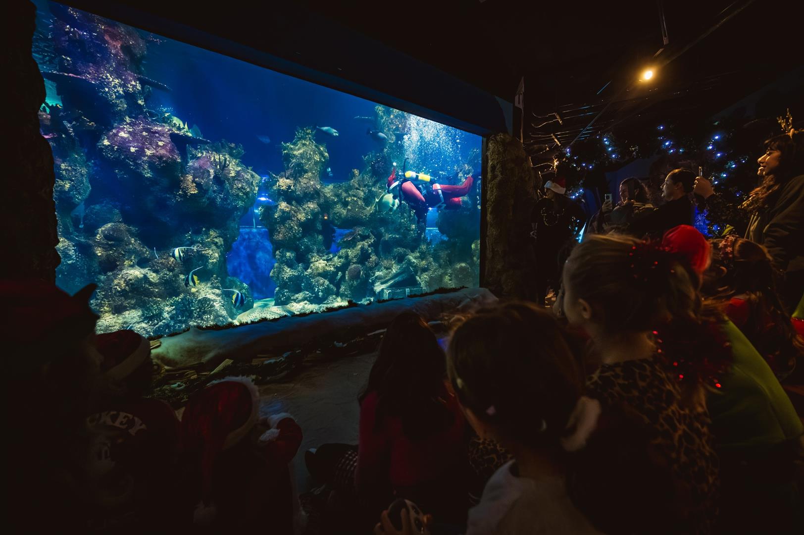 Malta National Aquarium