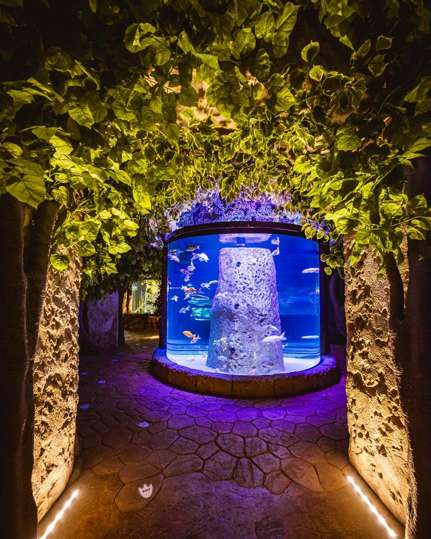 Malta National Aquarium