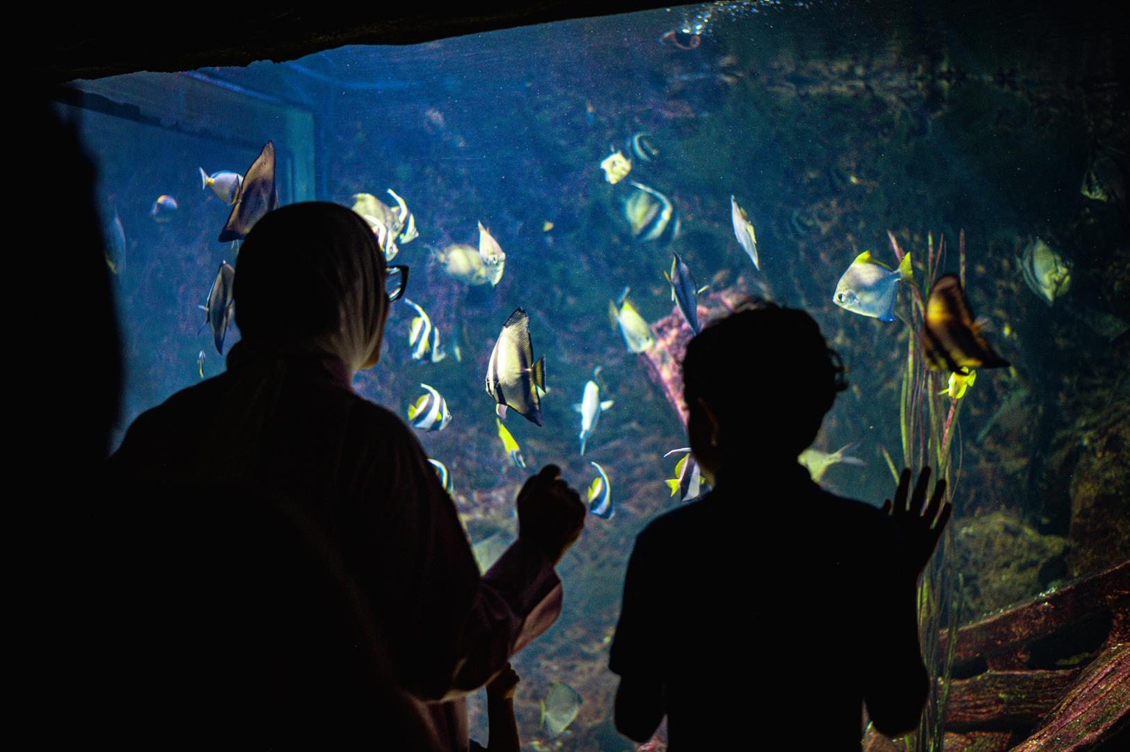 Malta National Aquarium