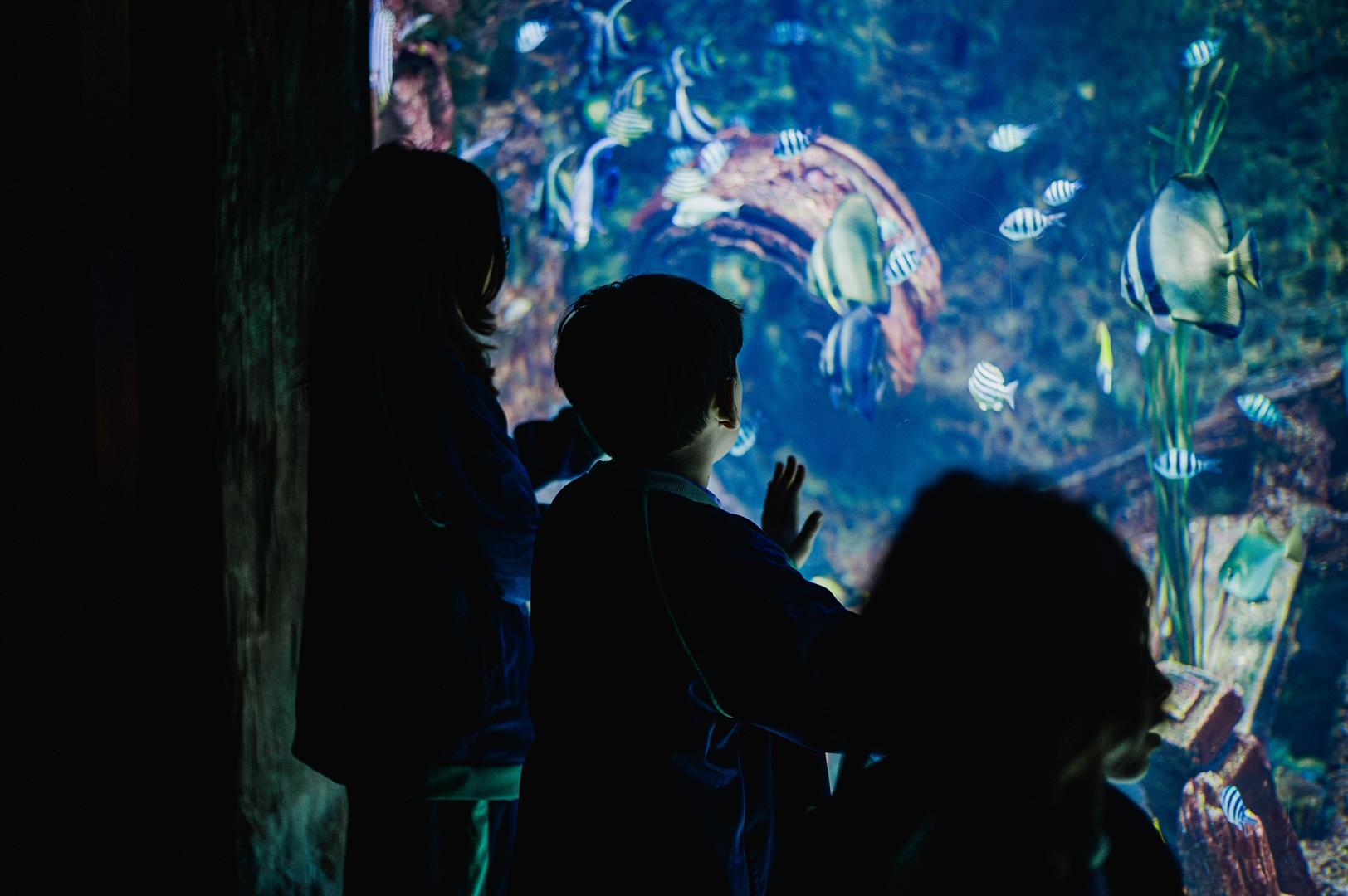 Malta National Aquarium
