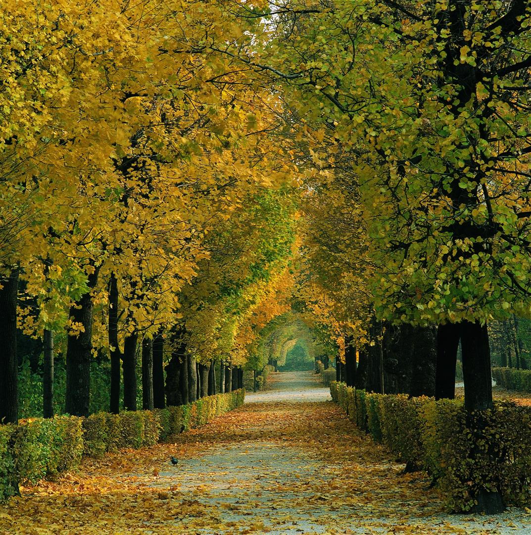 Schönbrunn Palace Park