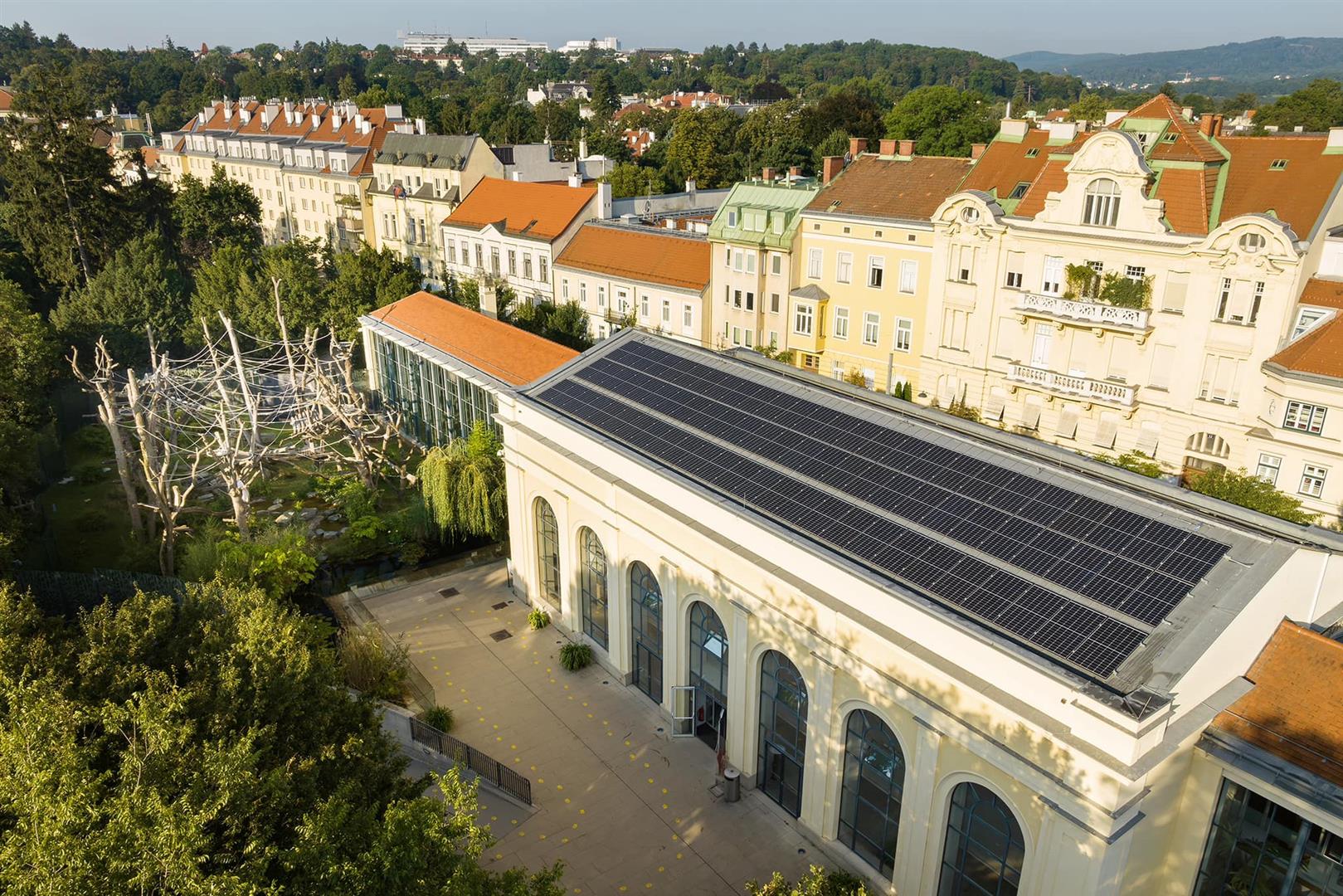 Schönbrunn Zoo