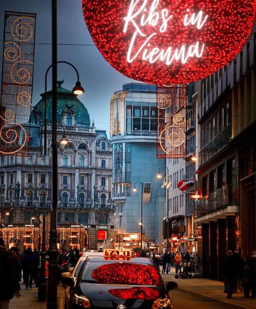 Ribs of Vienna