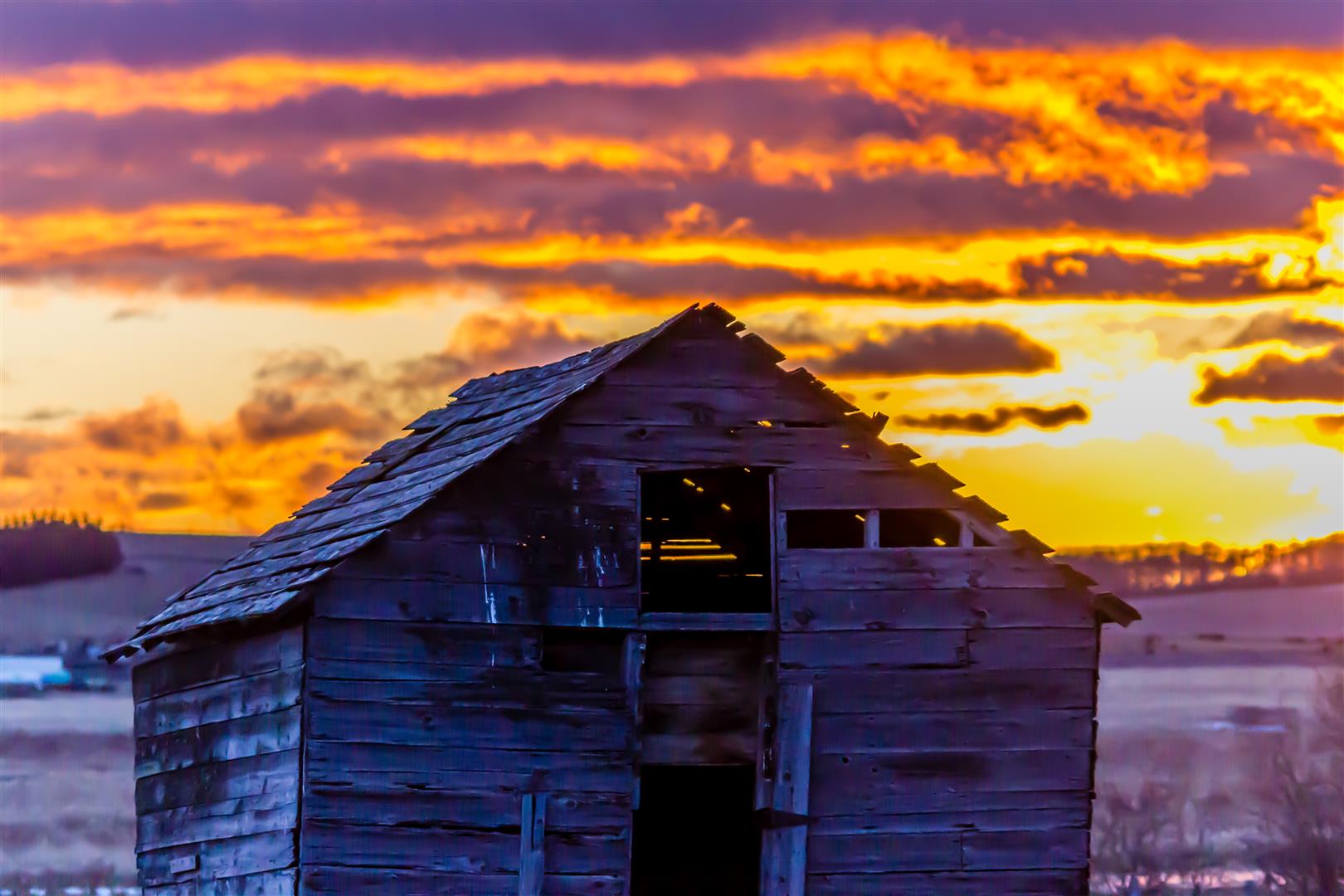 Shutter Stock