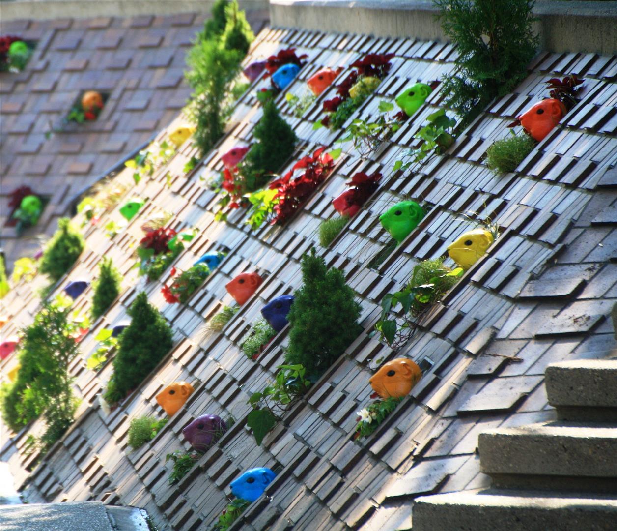 Shutter Stock
