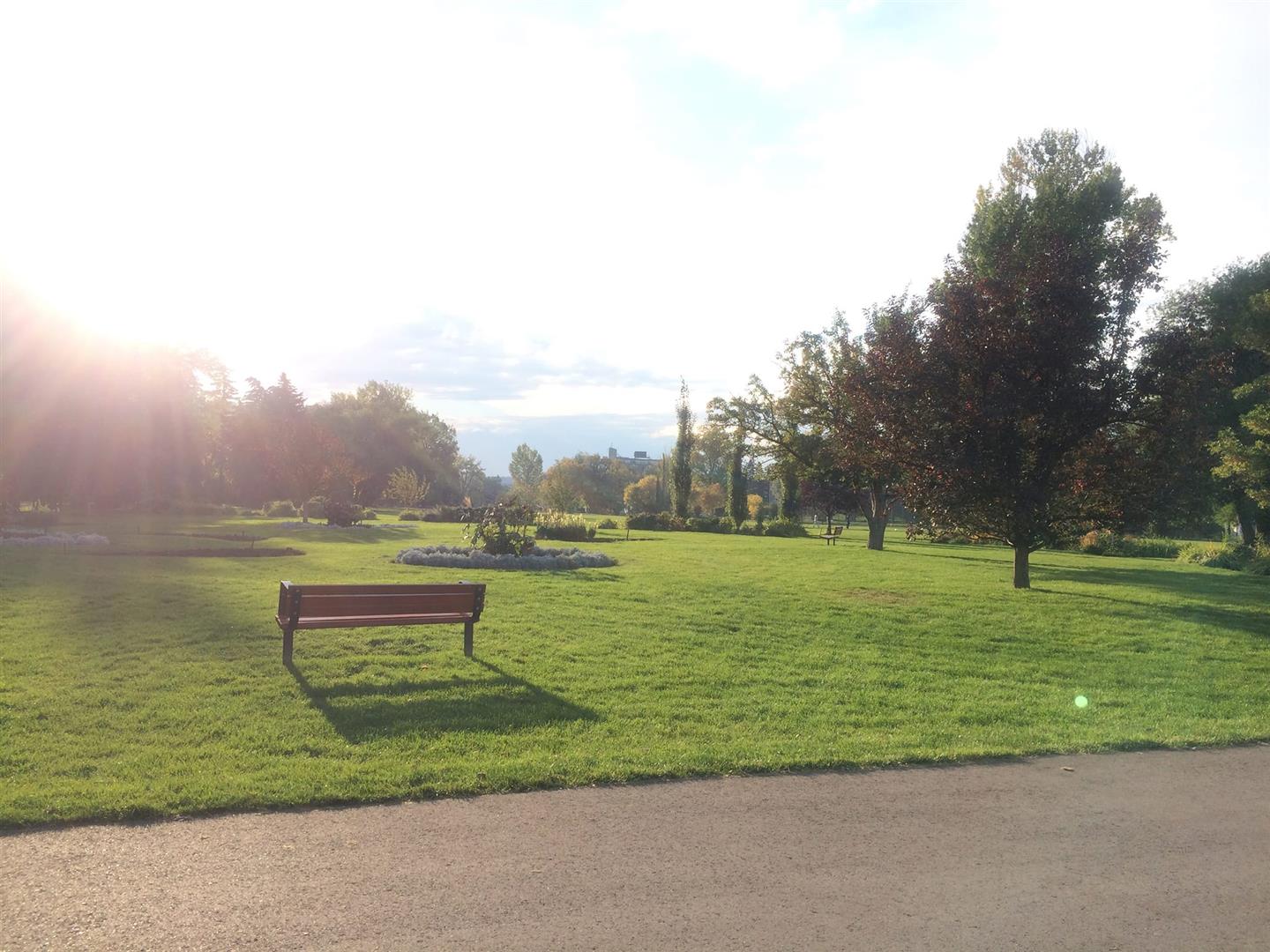 Riley Park