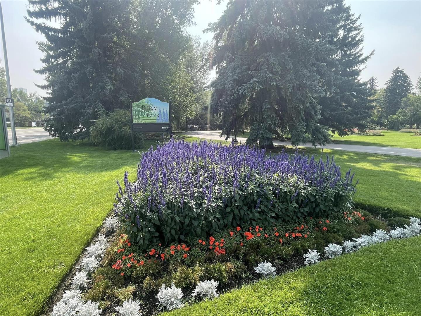 Riley Park