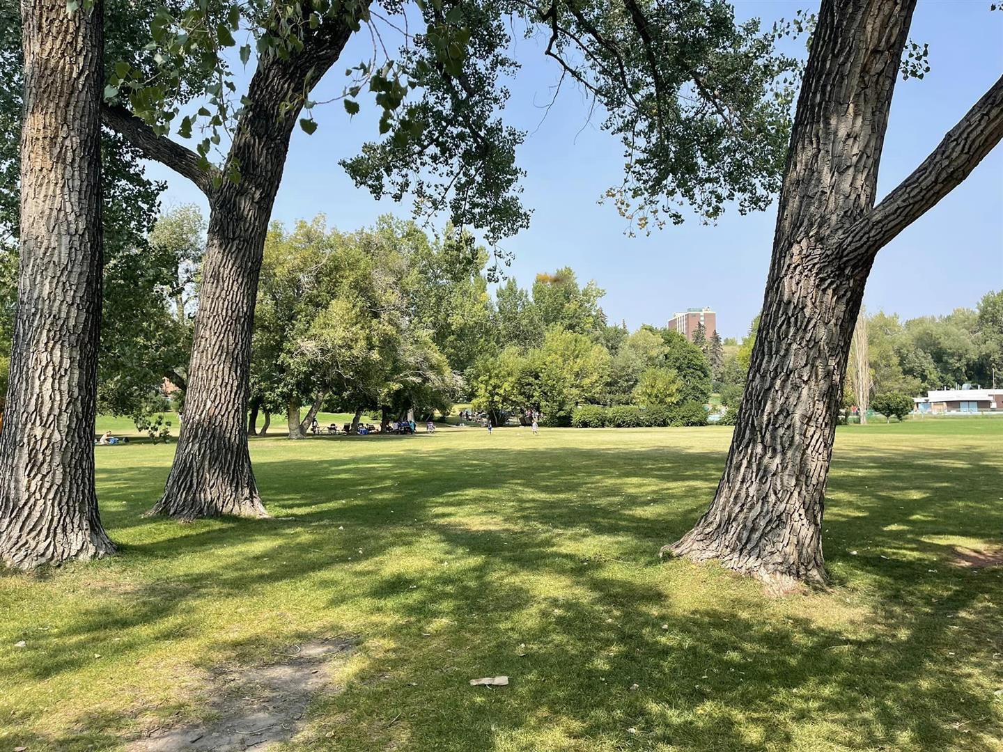 Riley Park