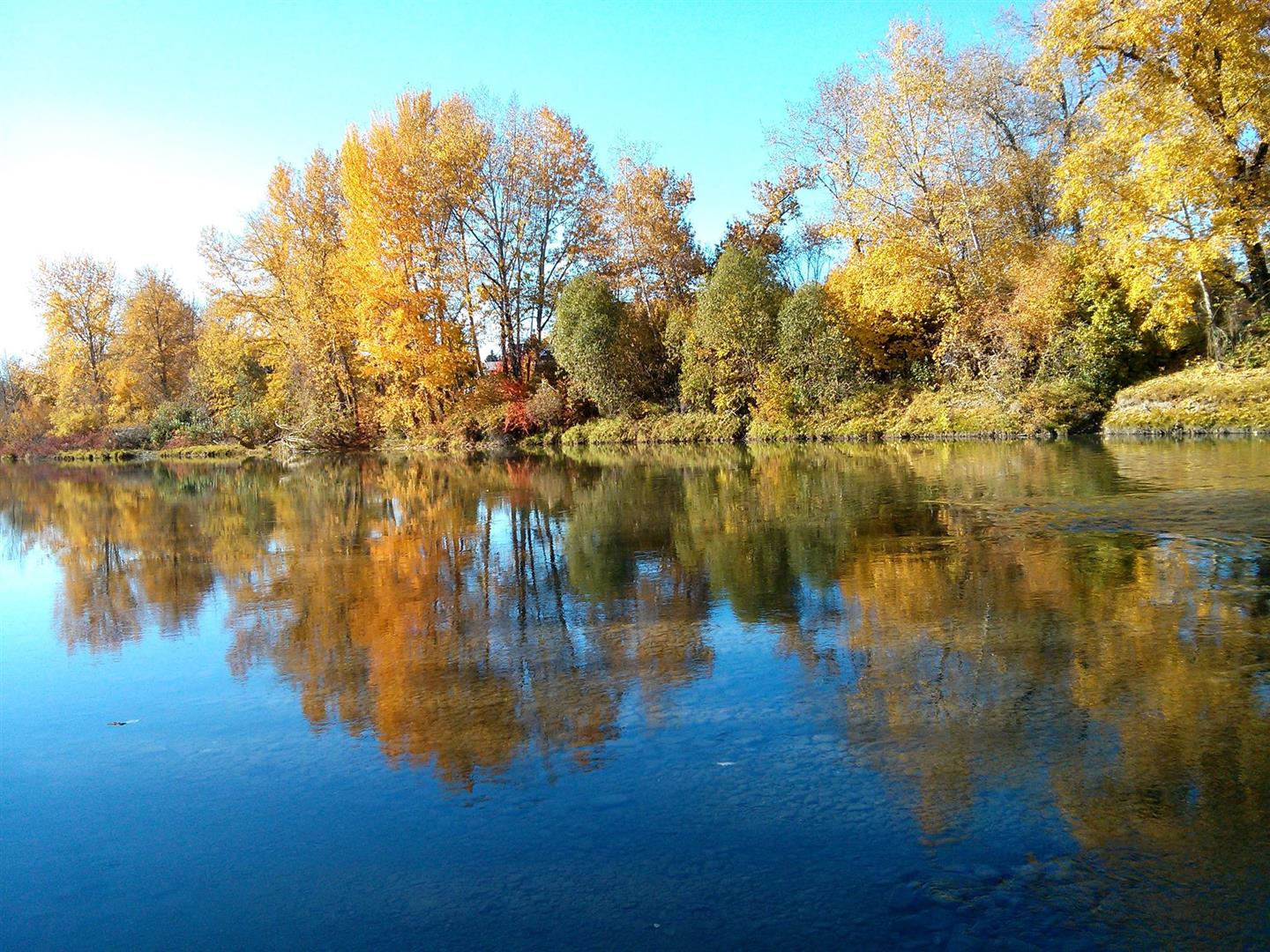 Stanley Park