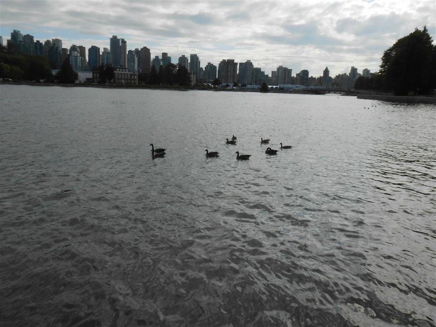 Stanley Park