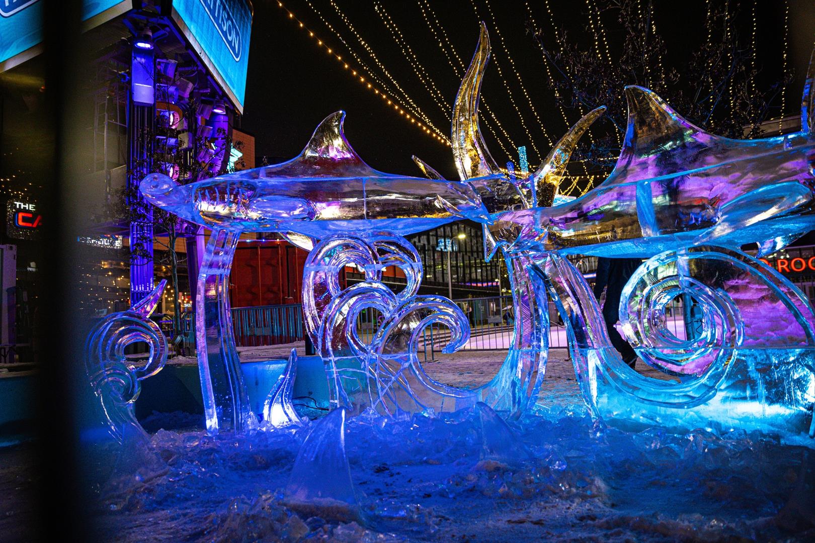 ICE District