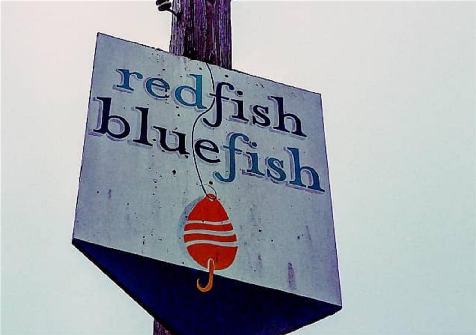 Red Fish Blue Fish
