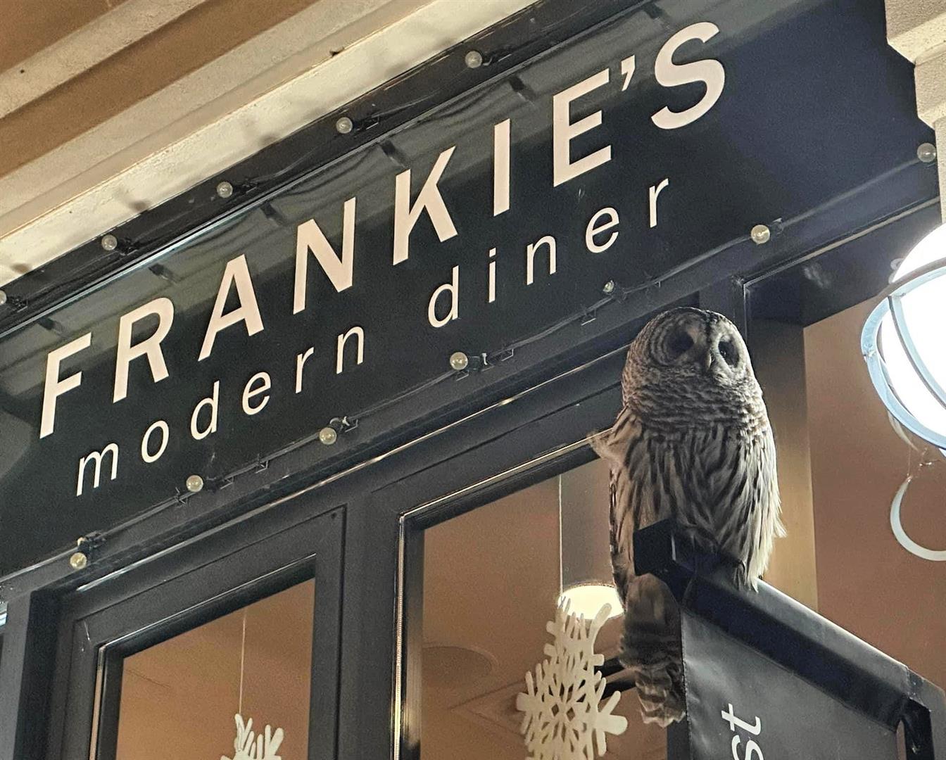 Frankie's Modern Diner