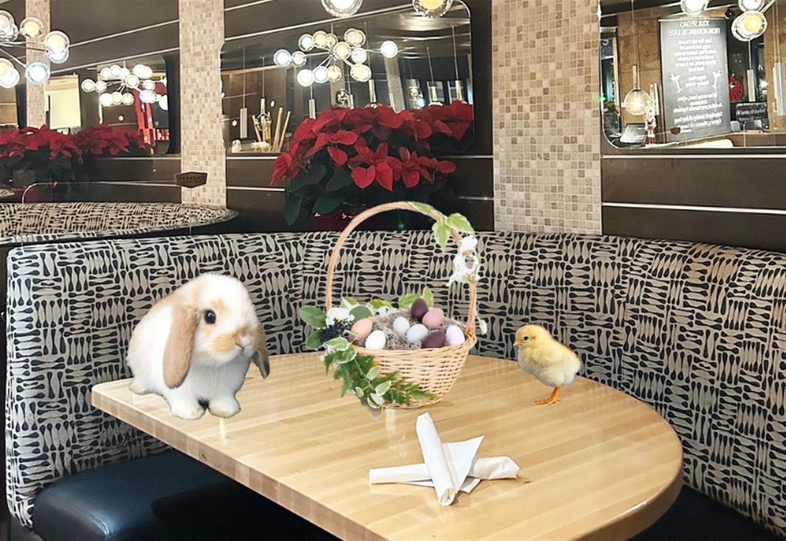 Frankie's Modern Diner