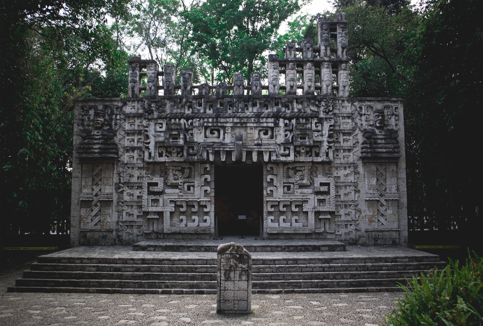 Shutter Stock