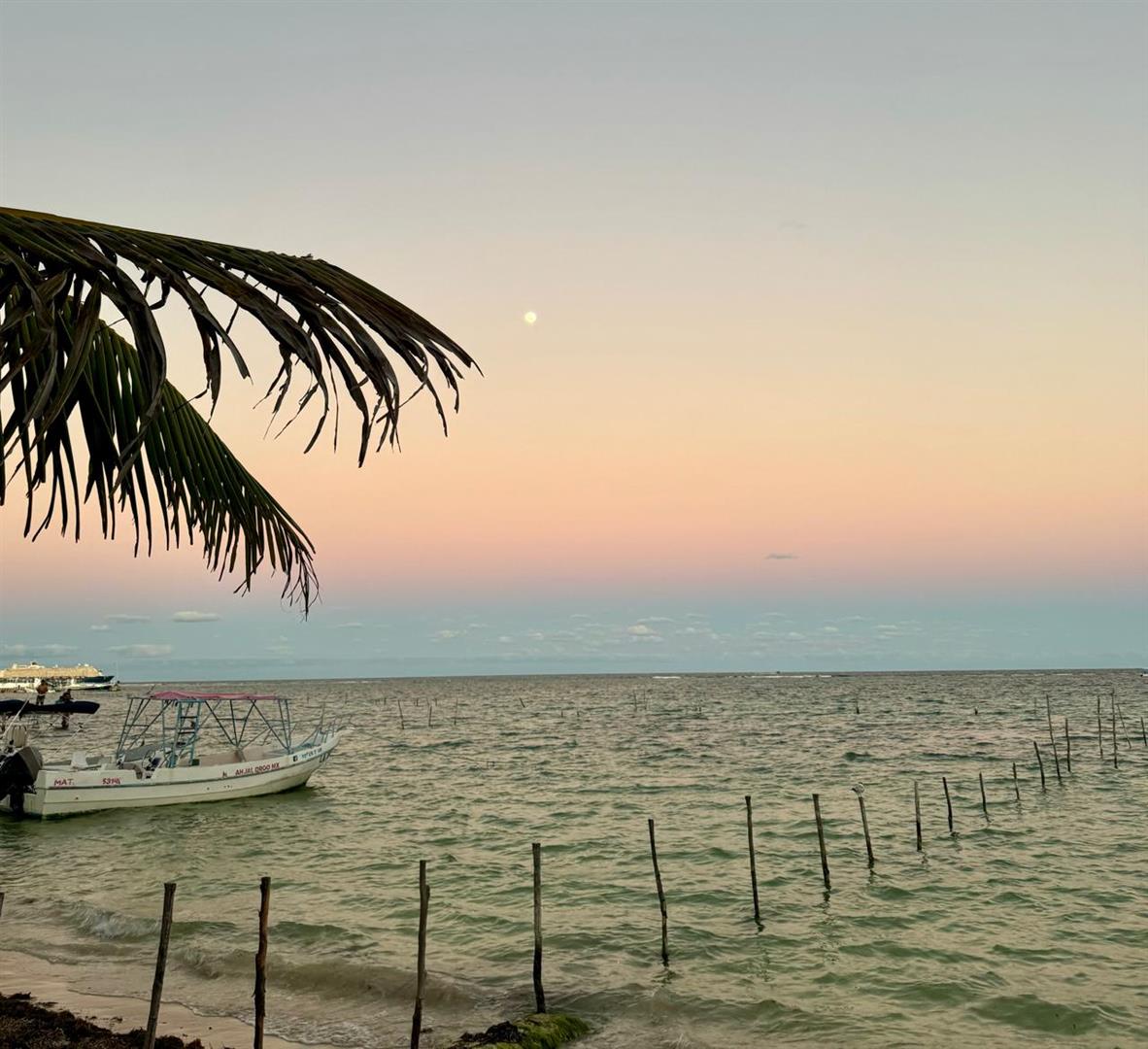 Luna De Plata