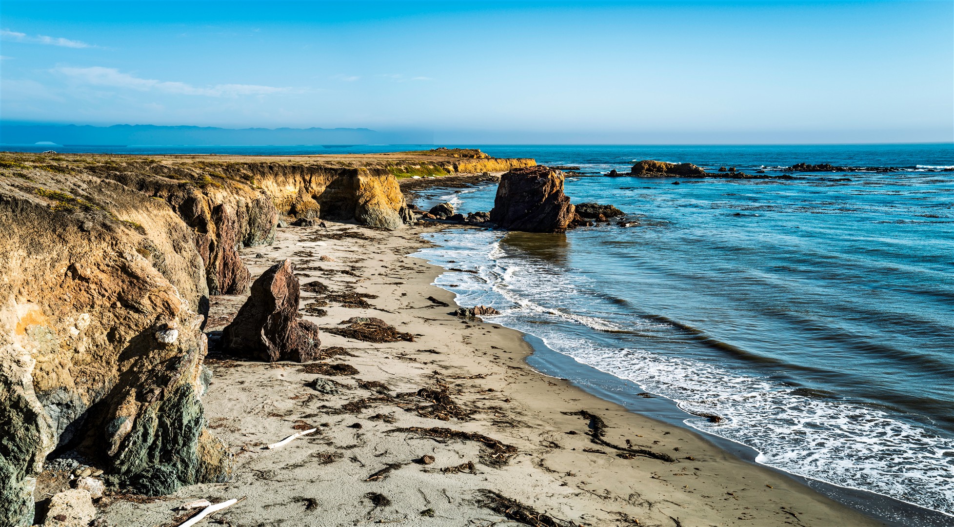 Shutter Stock
