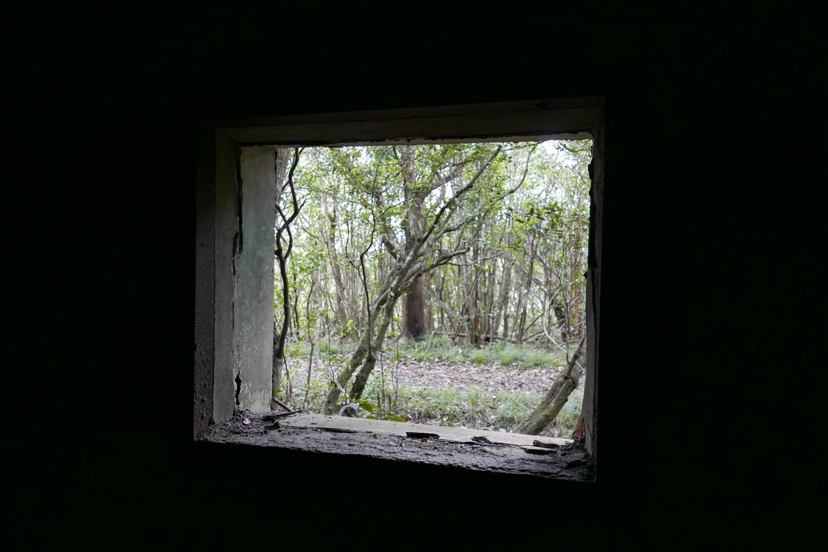 Shutter Stock