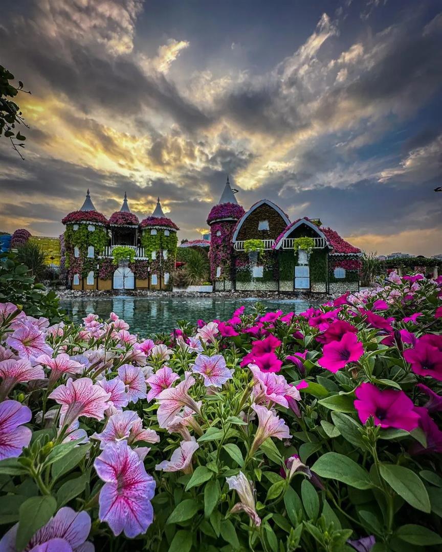 Dubai Miracle Garden
