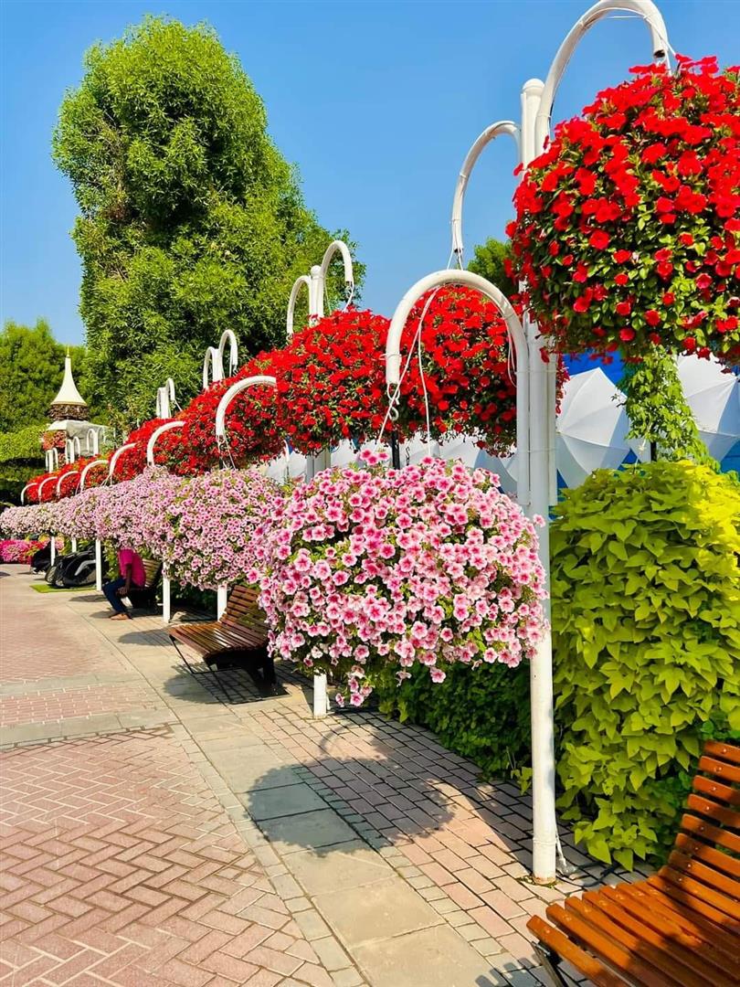 Dubai Miracle Garden
