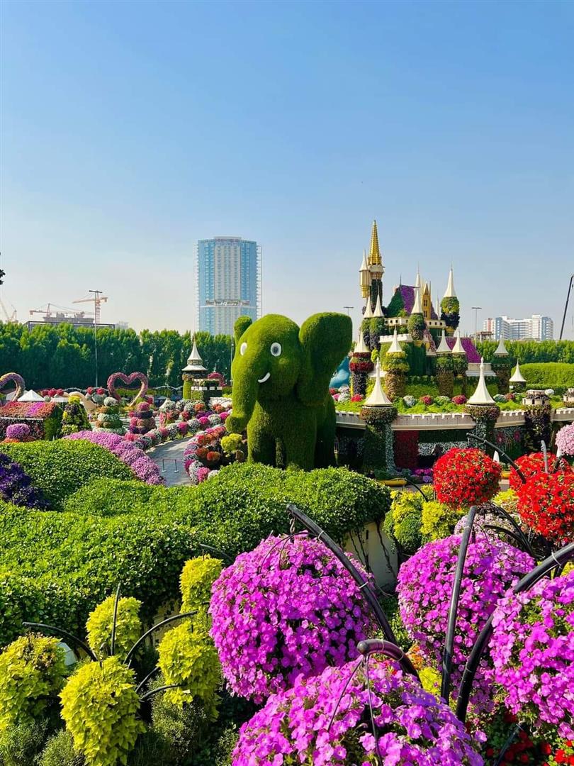 Dubai Miracle Garden