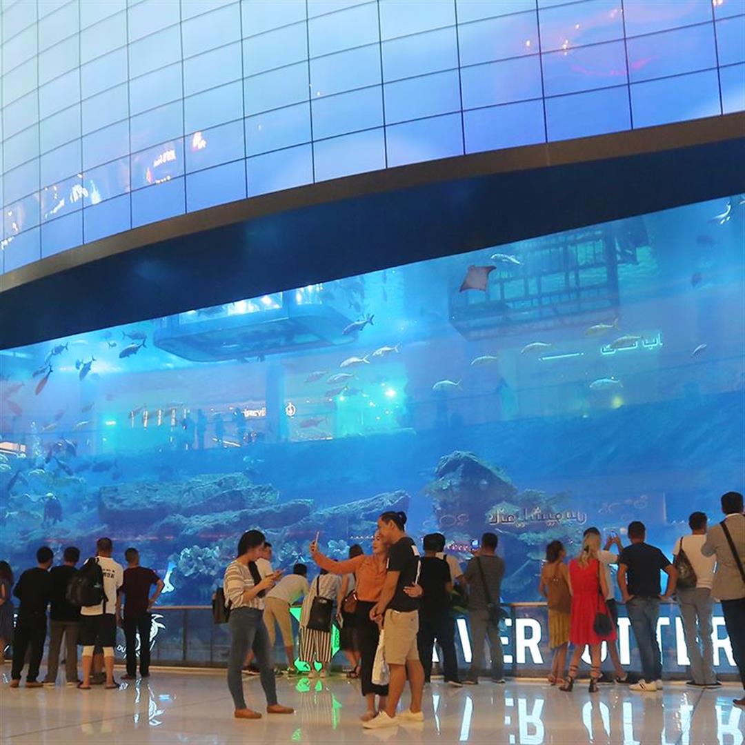 Dubai Aquarium & Underwater Zoo