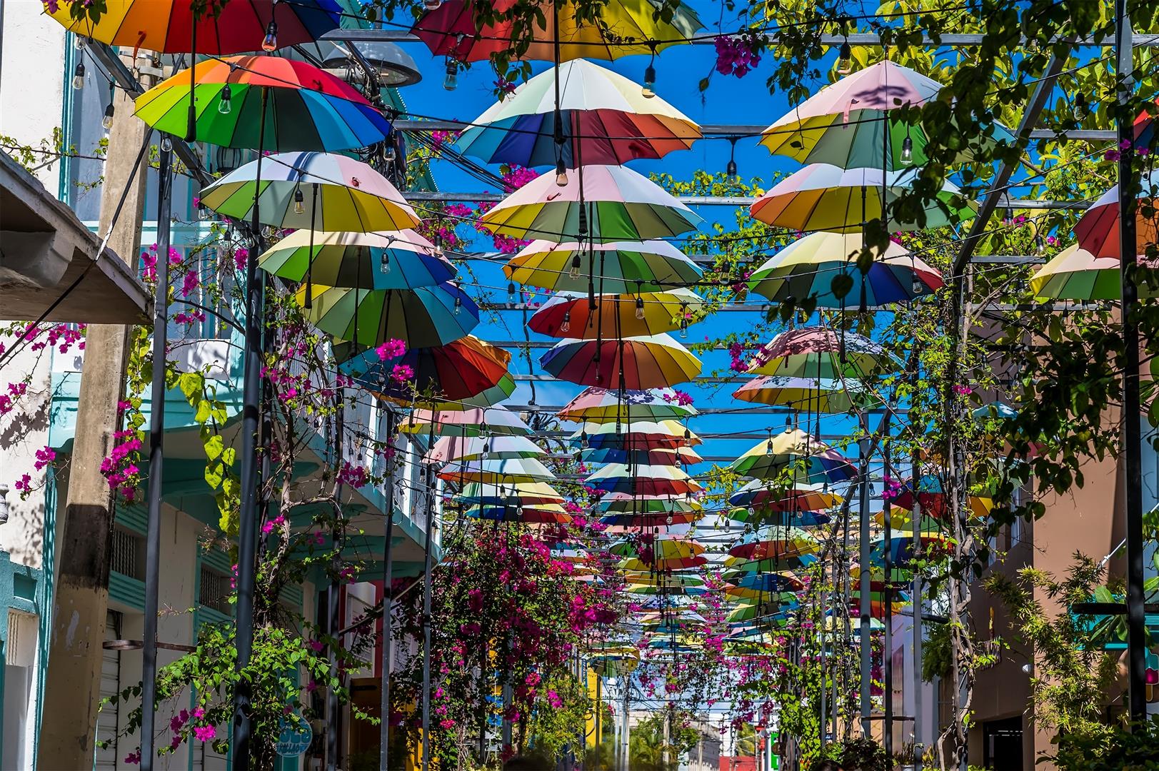Shutter Stock