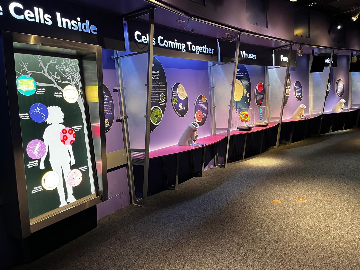 California Science Center