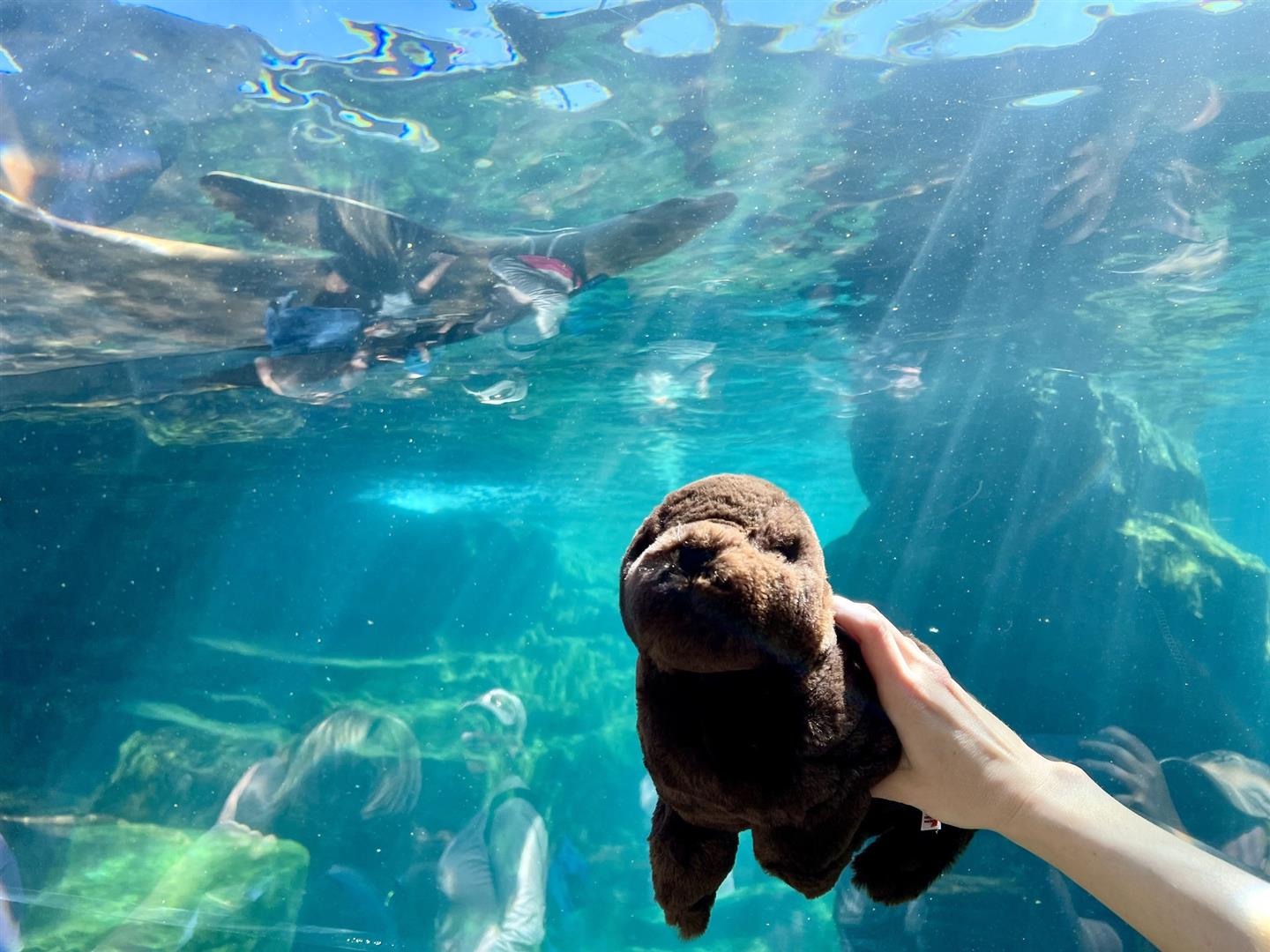 Houston Zoo