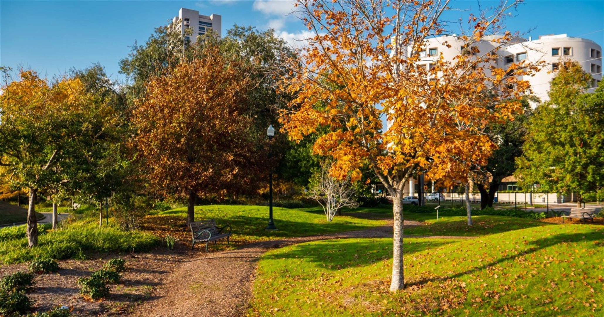 Hermann Park