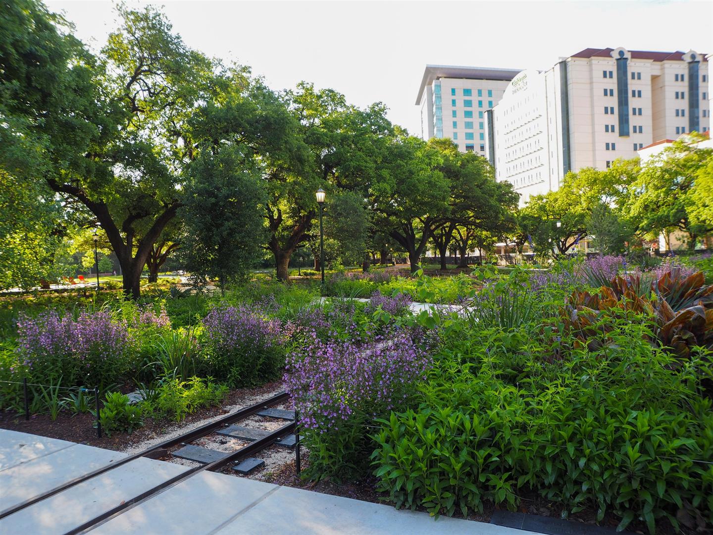 Hermann Park