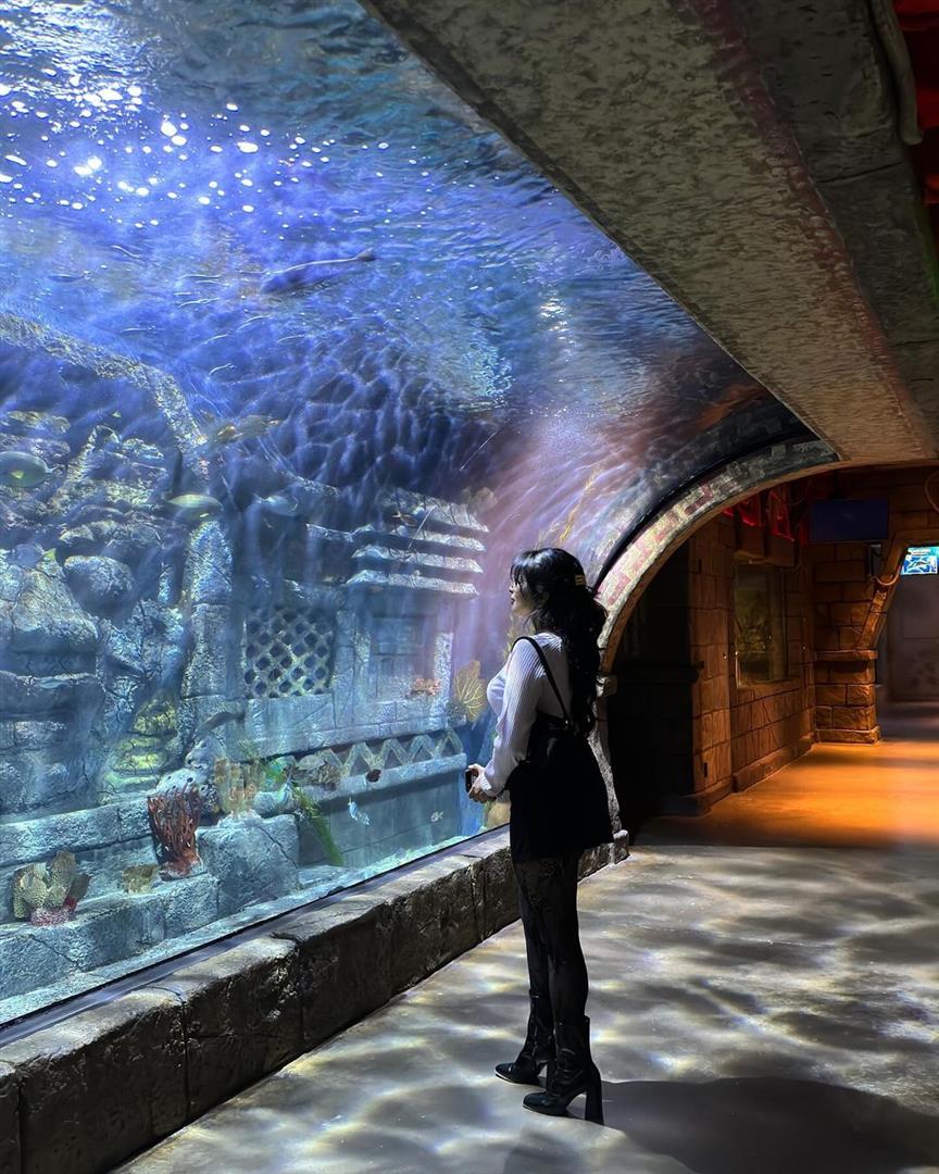 Downtown Aquarium