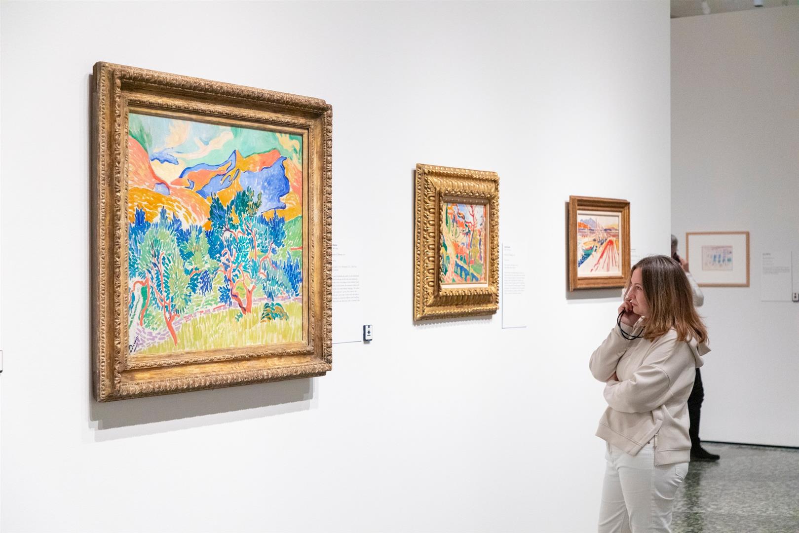 The Museum of Fine Arts, Houston