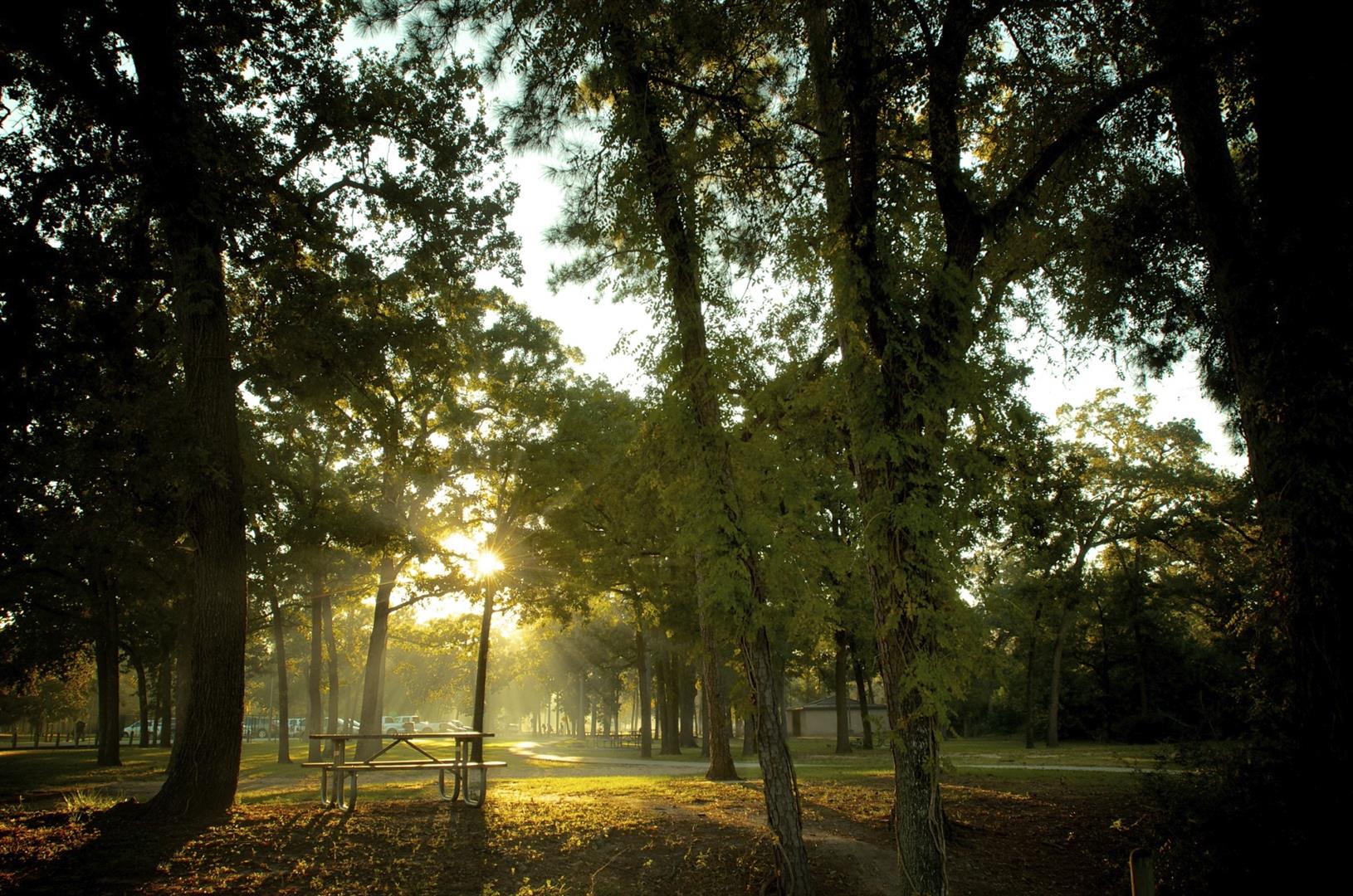 Memorial Park