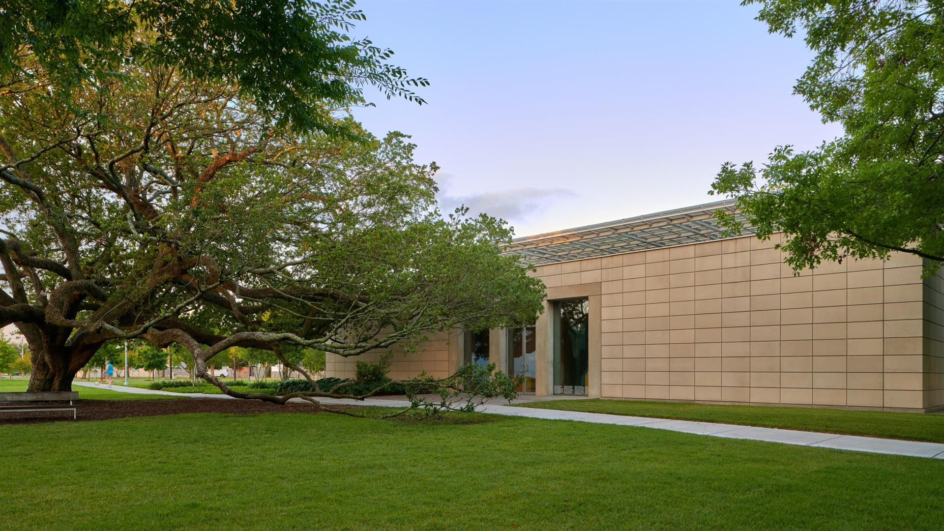 The Menil Collection