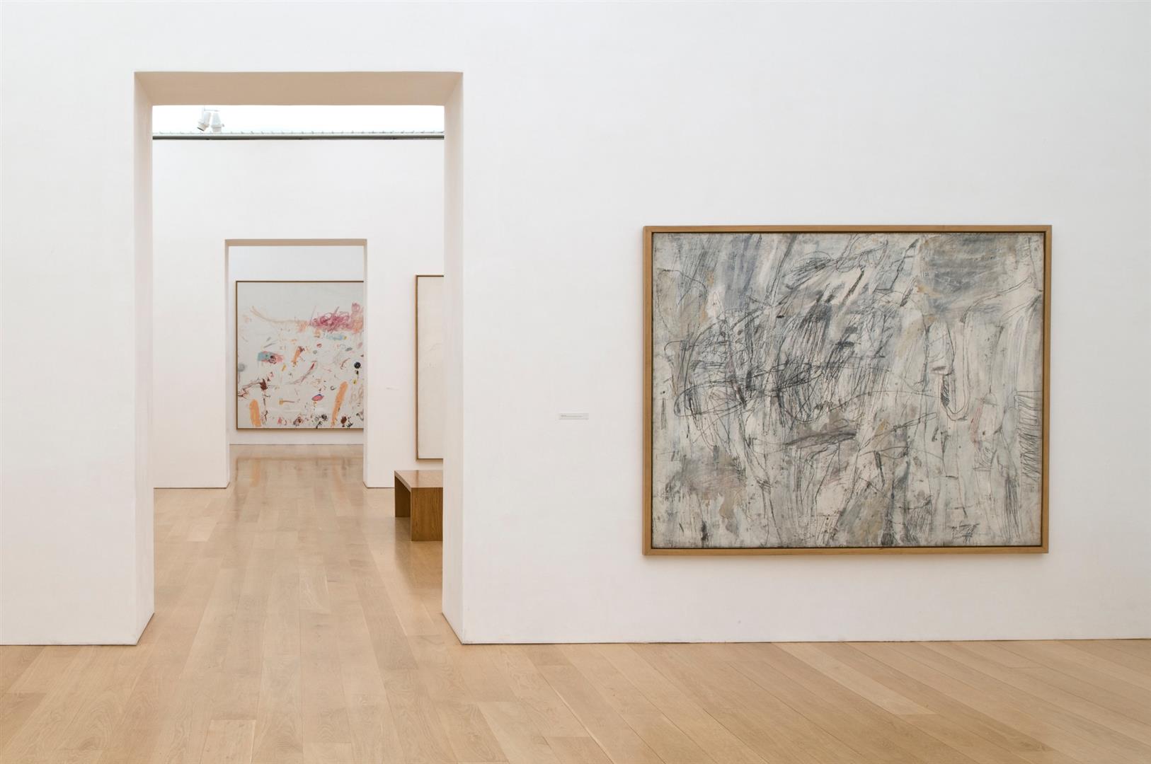 The Menil Collection