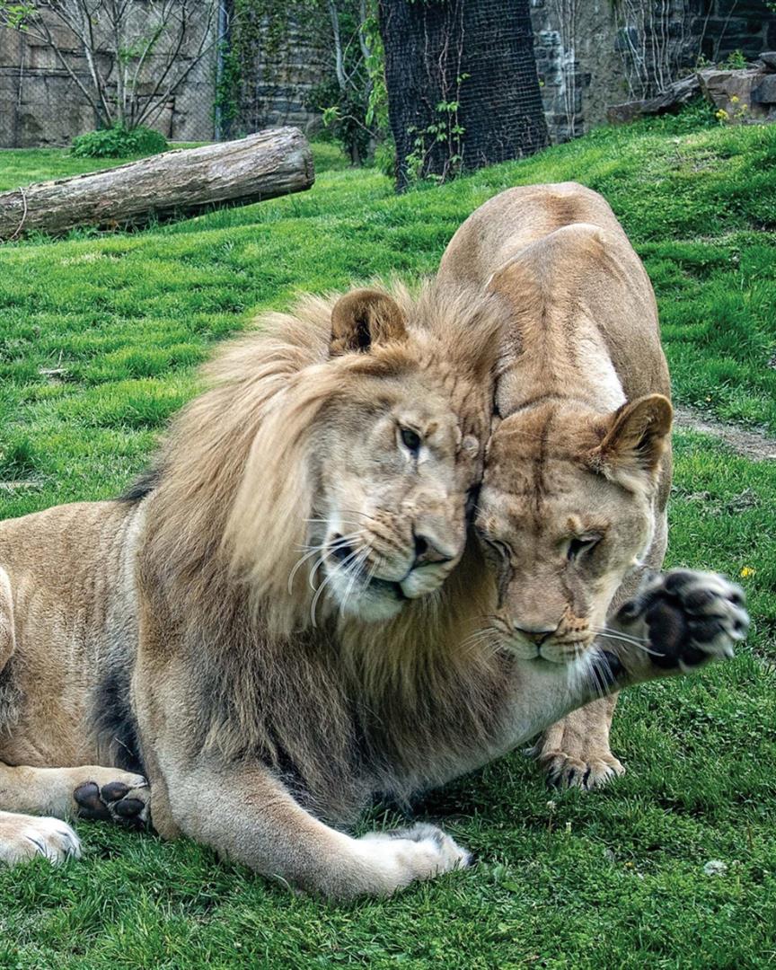 Philadelphia Zoo