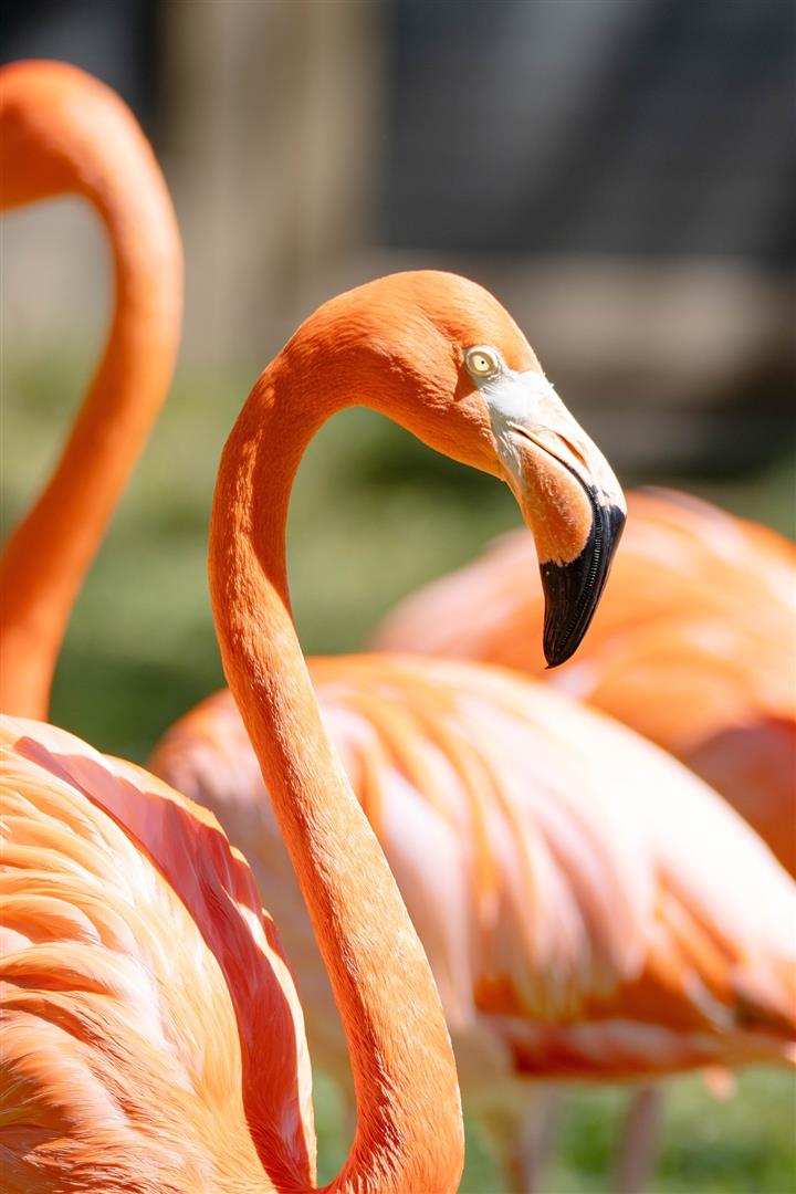 Philadelphia Zoo