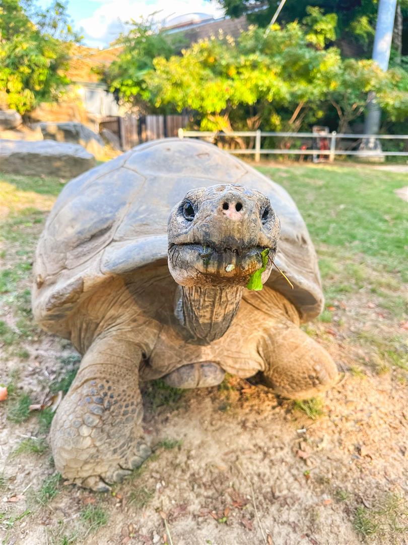 Philadelphia Zoo