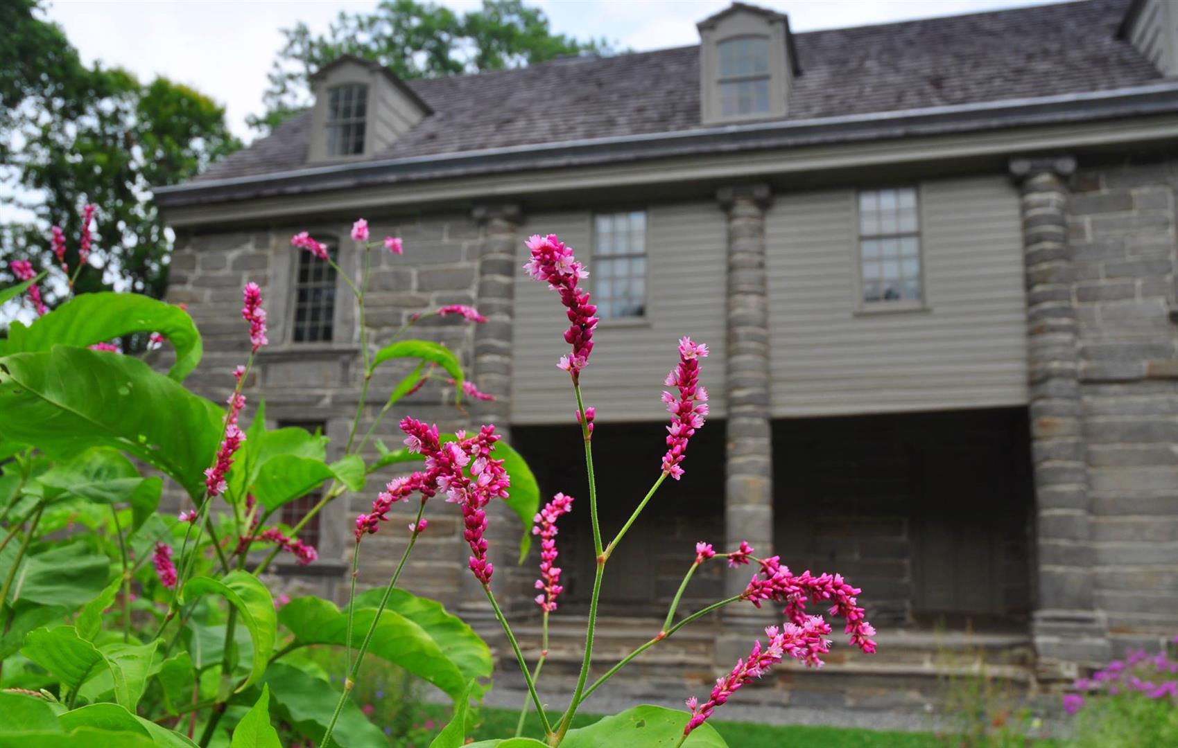 Bartram's Garden