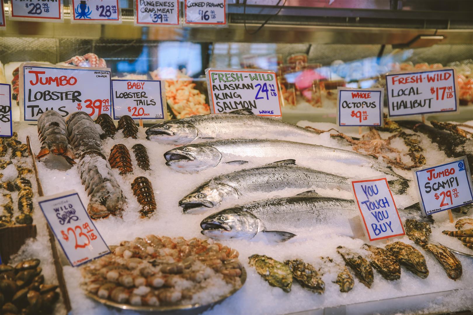 Shutter Stock