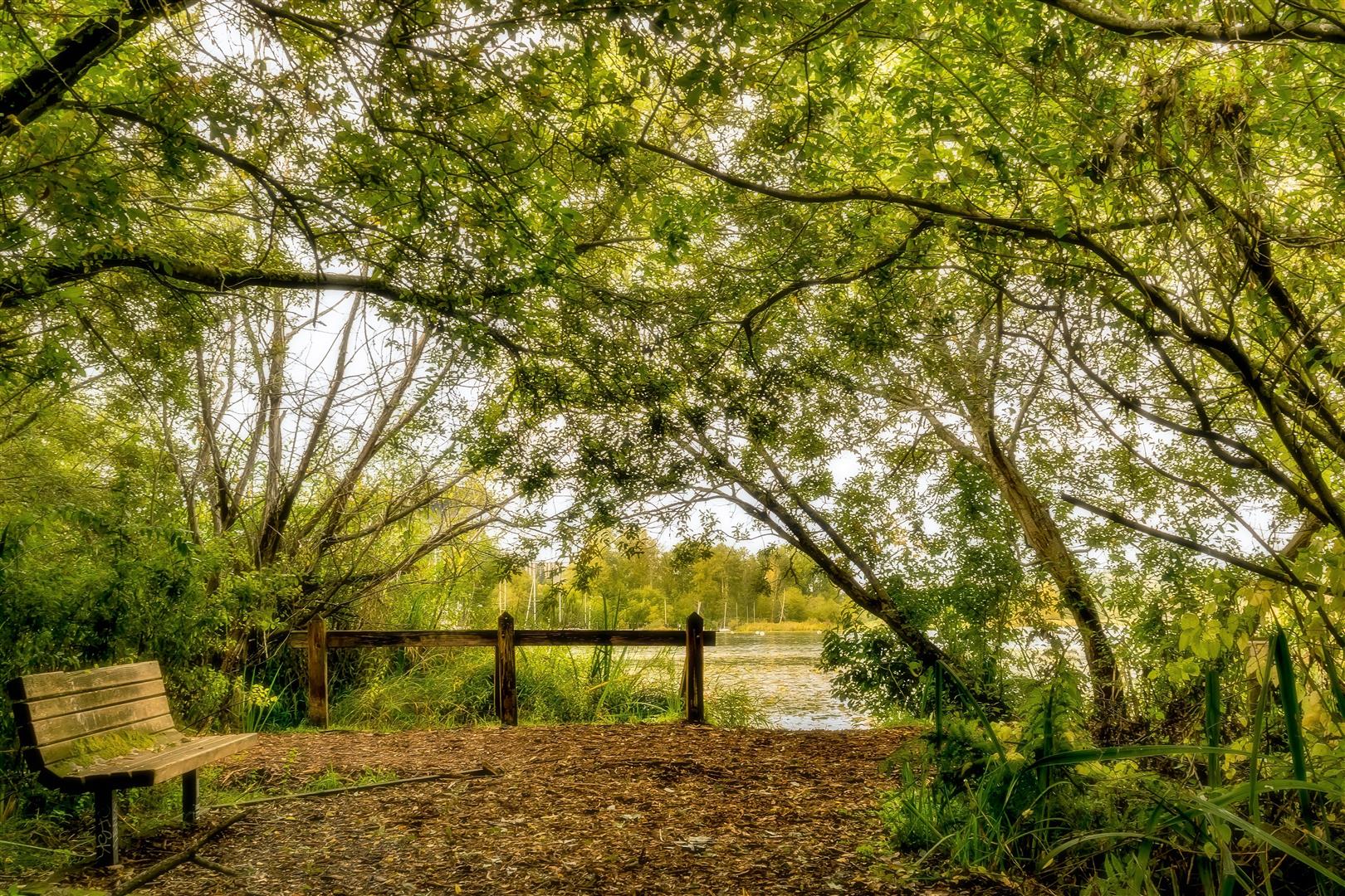 Shutter Stock