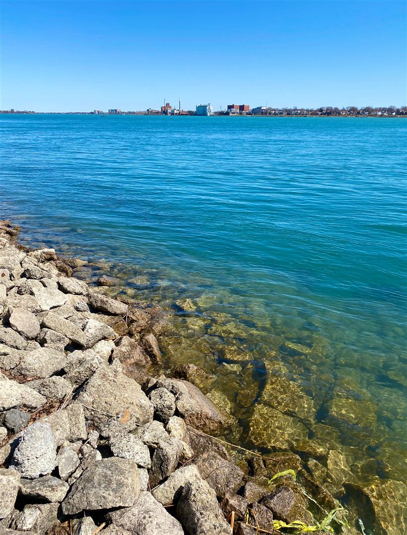 Shutter Stock