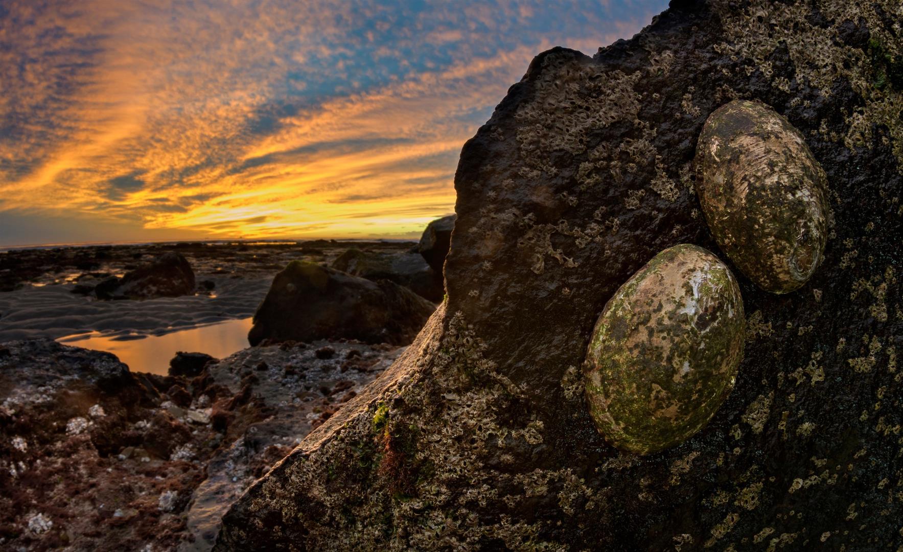 Cabrillo National Monument