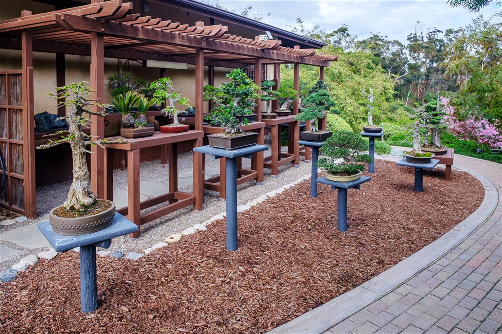 Japanese Friendship Garden and Museum