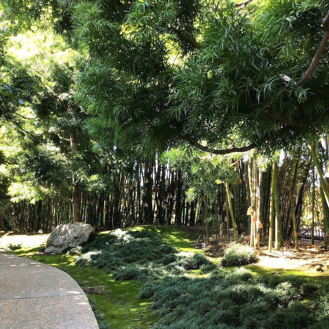 Japanese Friendship Garden and Museum