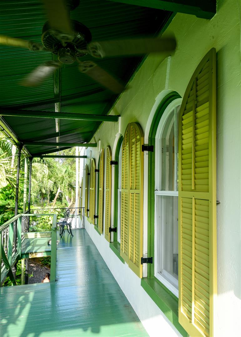 Shutter Stock