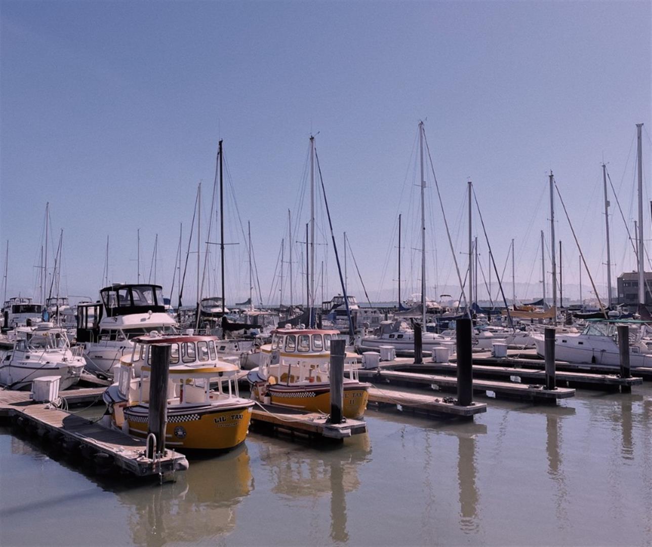 PIER 39